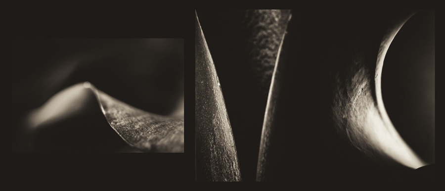 "HISTORIA LIŚCIA" - Fot. Adam Czarniewicz - to wstęp do abstrakcji na podstawie fotografii (macro) ujęć liścia, to metoda (jedna z wielu) pokazania natury w artystycznej kreacji.